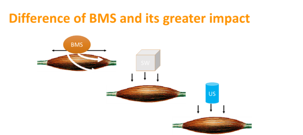 Difference-of-BMS-and-its-greater-impact-1024x456-1000x500.png